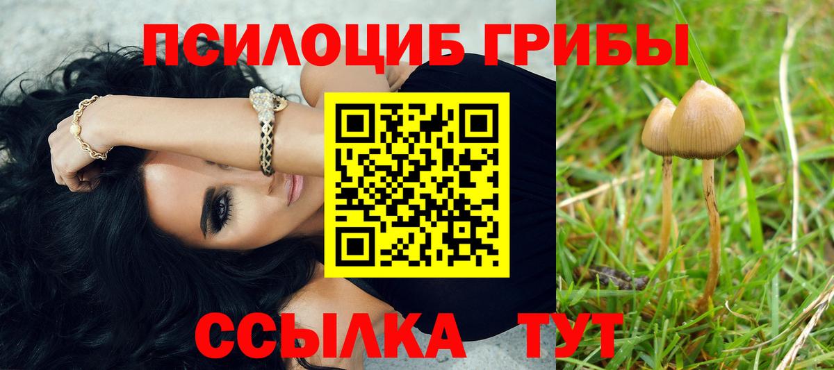 Псилоцибиновые грибы Magic Shrooms Куйбышев